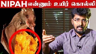 Nipah Virus-ல் இருந்து தப்பிப்பது எப்படி? | Dr. N.Karthikeyan விளக்கம் | MICRO21