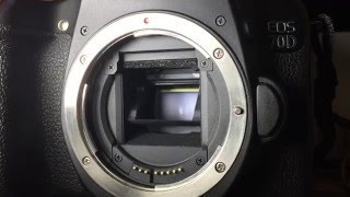 Movimento specchio e otturatore reflex