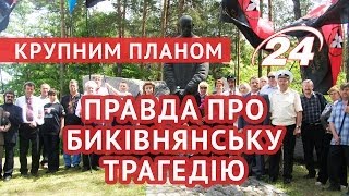 Крупним планом: Правда про Биківнянську трагедію
