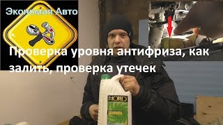 Проверка антифриза, утечек и дозалив Солярис (Рио)