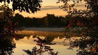 Relax Nature studio Artfresco&Decor Уроки по нанесению декоративной штукатурки Мастер классы.