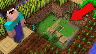 Minecraft NOOB vs PRO: NOOB FOUND SECRET VILLAGE UNDER FARMLAND! Challenge 100% trolling