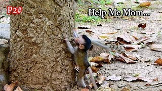 So pity poor Jilla cried hug tree call mom help when Kari abandon her short time