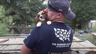 South Carolina Puppy Mill Rescue