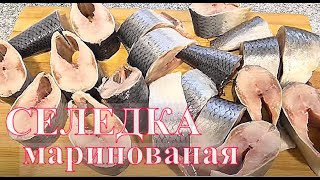 Селедка Как мариновать селедку Вкуснейшая маринованная селедка