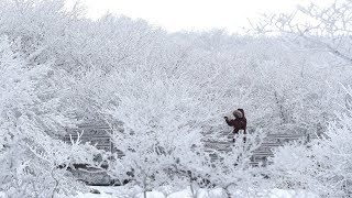 한라산 45㎝ 폭설…호남·제주 내일까지 눈 / 연합뉴스TV (YonhapnewsTV)