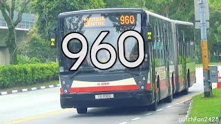 [SMRT] (Retired) TIB1106E on Service 960 - Mercedes Benz O405G Hispano Habit