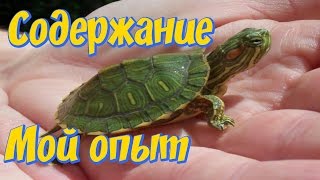 Красноухие черепахи аквариум! Мой опыт содержания!