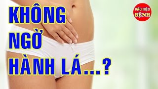 Tác dụng không ngờ của hành lá ? ít người biết, hành lá phòng bệnh ?, NHẬN BIẾT BỆNH