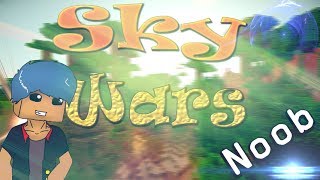 SkyWars [НУБ] #1