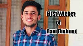 रवि बिश्नोई का पहला विकिट ll First Wicket of Ravi Bishnoi ll प्रतिबिम्ब TV