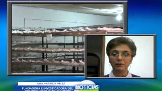 Controlador biológico de plagas y enfermedades para cultivos a partir de una mezcla microbiana