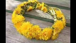 Как плести венок из одуванчиков Wreath of flowers