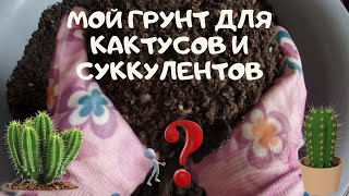 Мой грунт для кактусов  и суккулентов своими руками в домашних условиях