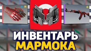 СКОЛЬКО СТОИТ ИНВЕНТАРЬ МАРМОКА В CS:GO