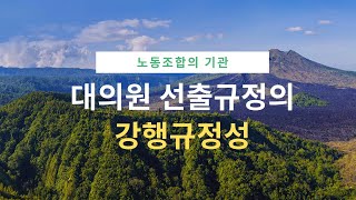 [노동법 판례 핸드북] 노동조합의 민주적 운영과 대의원회