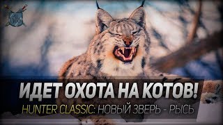 ИДЕТ ОХОТА НА КОТОВ! ◆ The Hunter Classic ◆ Новый зверь - рысь