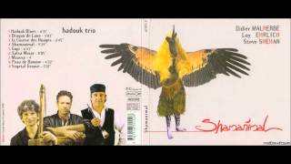 Hadouk trio – Hadouk Blues