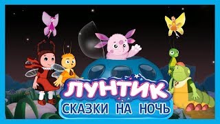 Лунтик и Его Друзья в Мульт Игре Сказки На Ночь Очень Познавательно ?