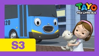 Tayo I want a puppy l Tayo S3 EP19 l Tayo the Little Bus