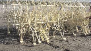 Theo Jansen's strandbeest ,Theo Jansen's beach animal