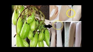 MENGEJUTKAN!! Inilah Cara Memutihkan Kulit Secara Alami Dalam Semalam Dengan Belimbing Wuluh