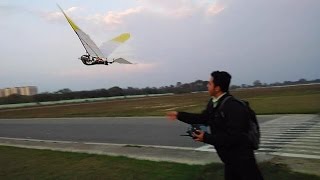 A beautiful FPV flight with an ornithopter
