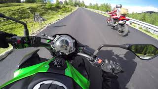 KAWASAKI Z900 RAW - SC PROJECT S1 - PURE SOUND
