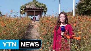 [날씨] 내륙 쾌청한 가을하늘...해상 거센 풍랑, 해안 강풍 / YTN