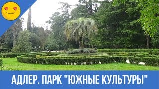 Дендрологический парк "Южные культуры" город Адлер.