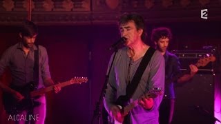 Alcaline, le Mag : Jean-Louis Murat - J'ai Fréquenté La Beauté