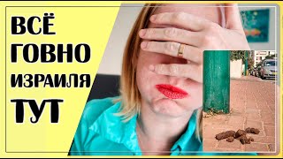 РЕАЛИИ ИЗРАИЛЯ