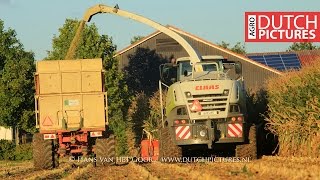 Shredlage mais hakselen 2016, Nieuwe Claas Jaguar 860! |Breure|Harvesting maize|Maisernte|NL