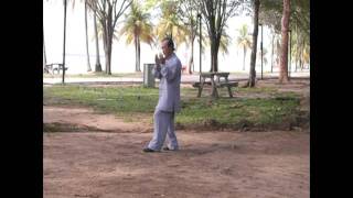 Master Ngiam: Wild Goose Trigeminal Spiral Qigong - Part 大雁三叉螺旋气功（部分）