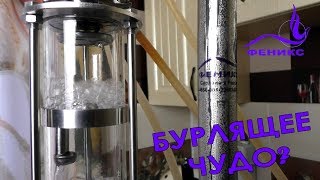 ФЕНИКС Сириус и его бурлящее ЧУДО?