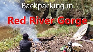 BACKPACKING WITH DOGS  in the CLIFTY WILDERNESS | Red River Gorge in 4K