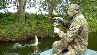 Река, где полно щуки и голавля. Рыбалка на спиннинг в июне 2018