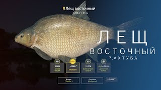 РУССКАЯ РЫБАЛКА 4 | RF4 - ЛЕЩ ВОСТОЧНЫЙ, Р.АХТУБА