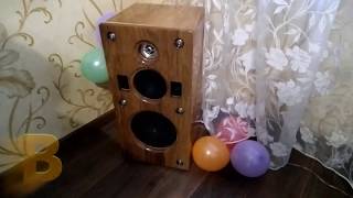 переделка колонок Вега АС50