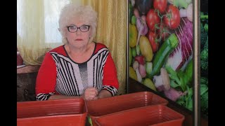 ОТВЕТЫ НА ВОПРОСЫ ЗРИТЕЛЕЙ 11 ФЕВРАЛЯ. Ольга Чернова.