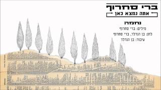 ברי סחרוף - נחמה
