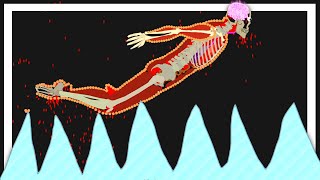 When Human Experiments Go Wrong in Algodoo