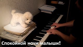 Спокойной ночи малыши!