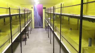 Лотки, слив готов! Помещение под разведение Австралийского рака.