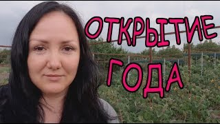 Малина Нижегородец. Этот сорт меня удивил!