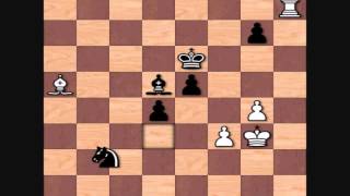 Garry Kasparov's Best Games: vs Anatoly Karpov