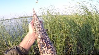 ОТКРЫТИЕ ОХОТЫ НА УТОК 2018. ЛУЧШИЕ МОМЕНТЫ 2-го ДНЯ.3 ВЫСТРЕЛА 3 УТКИ. "ВОРОНИЙ ГЕНОЦИД".