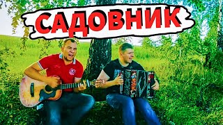 КОРОЛЬ И ШУТ НА ГАРМОШКЕ! САДОВНИК!