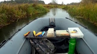 Заплыл в такие места, что лодка еле проходила. Щука на спиннинг.