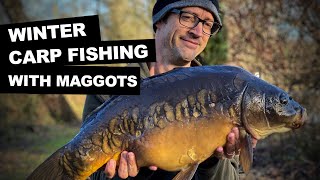WINTER CARP FISHING WITH MAGGOTS